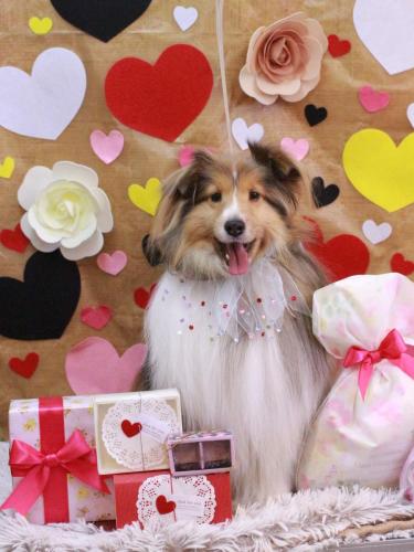 20230214ノアくん